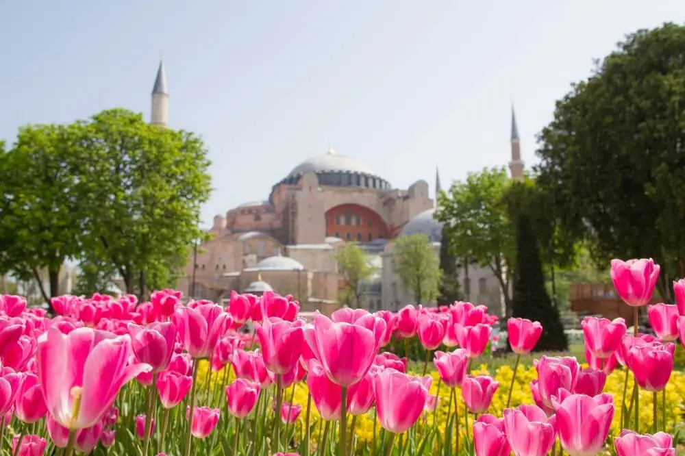Festival da Tulipa em Istambul Festival da Tulipa em Istambul
