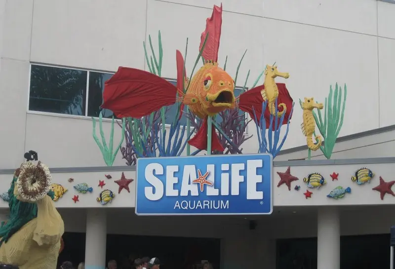 Sea Life Aquarium no Legoland California Sea Life Aquarium no Legoland California