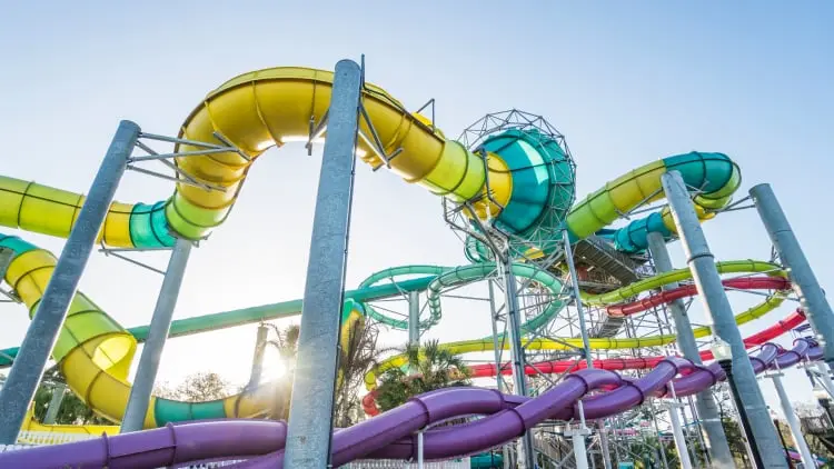 Colossal Curl no Adventure Island Colossal Curl no Adventure Island