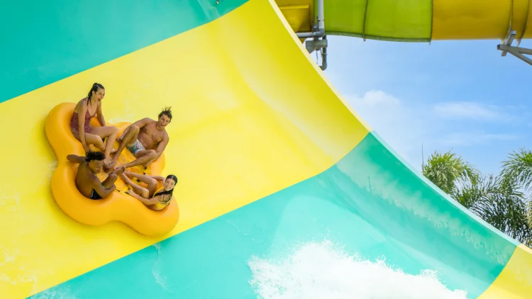 Colossal Curl no Adventure Island Colossal Curl no Adventure Island