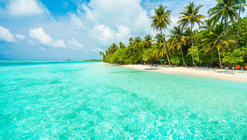 Isla Saona na República Dominicana Isla Saona na República Dominicana