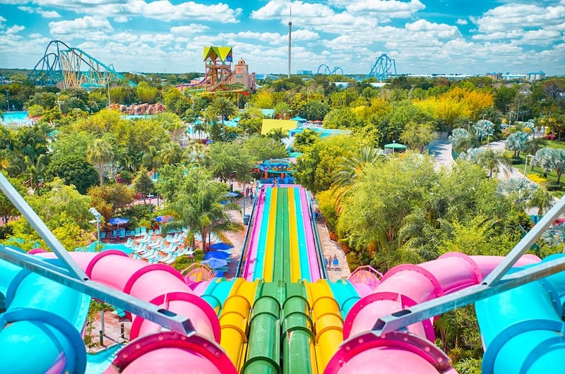 Taumata Racer no Parque Aquatica Taumata Racer no Parque Aquatica